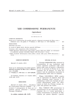 463 - Camera dei Deputati