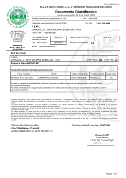 Documento Giustificativo - ii-ii