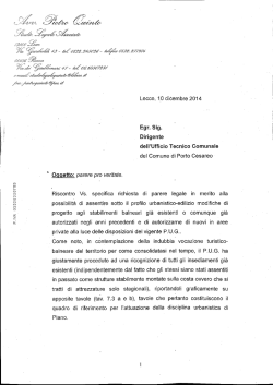Direttiva n. 1Ing. Stefanelli parere legale allegato