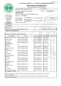 Documento Giustificativo