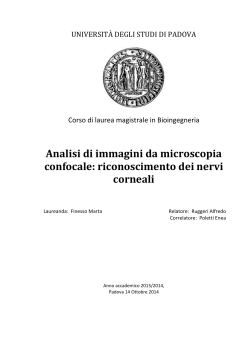 Documento PDF - Università degli Studi di Padova