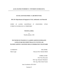 Documento PDF - AMS Tesi di Laurea