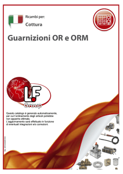 Guarnizioni OR e ORM