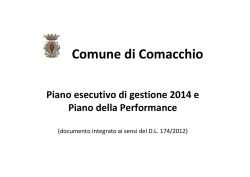 Deliberazione n. 19 del 17/01/2014 - Allegato