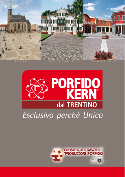 Catalogo Porfido Kern