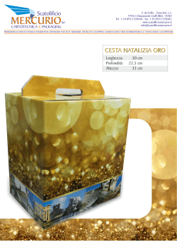 Depliant - Generica Panettone Bottiglia 2014 Oro.cdr