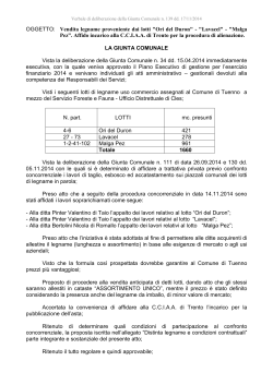 OGGETTO: Vendita legname proveniente dai lotti "Ori del Duron