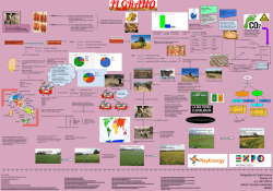 Infografica sul grano - Dalla Terra Alla Terra