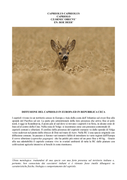 scarica la scheda - Caccia in Repubblica Ceca