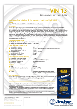 Anchor Vin 13 - Scheda di Prodotto (IT)