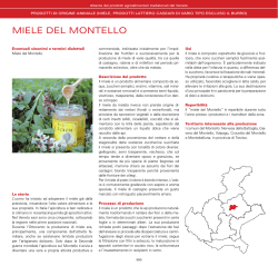 MIELE DEL MONTELLO - Veneto Agricoltura