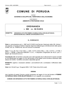 Infezione in atto per febbre catarrale degli ovini (bluetongue)