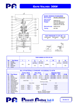 DS-GA1-C2 Gate valve 300# flanged RF