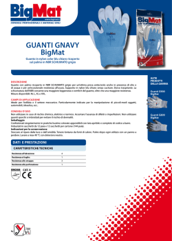 GUANTI GNAVY BigMat