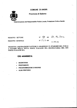 Determina n.533-2014 Liquidazione fatture