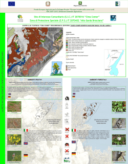 habitat 6210 e 91K0 - Consorzio forestale della Valvestino
