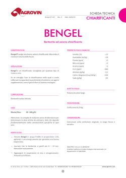 Bengel - Agrovin