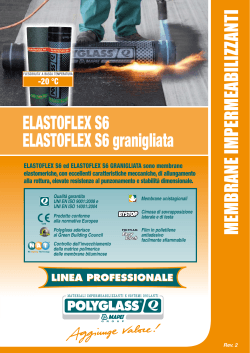 ELASTOFLEX S6 ELASTOFLEX S6 granigliata