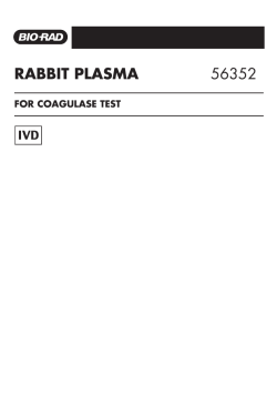 RABBIT PLASMA 56352