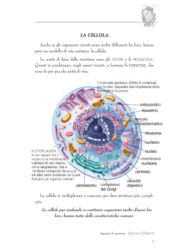 cellula e tessuti