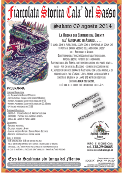 fiaccolata 2014