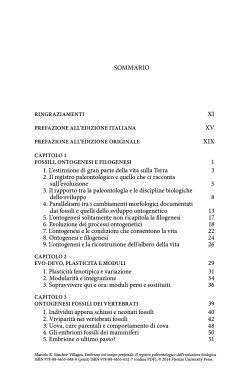 Indice (PDF) - Firenze University Press