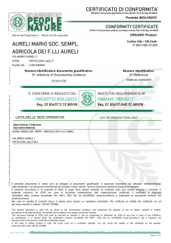 Certificato Conformity Certificate