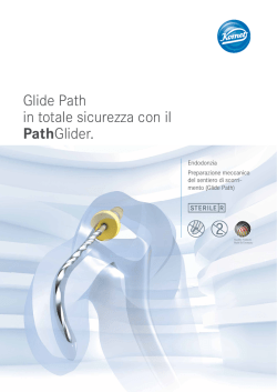 Glide Path in totale sicurezza con il PathGlider.