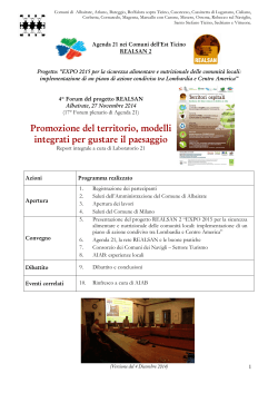 REALSAN: report Forum n° 4: "Promozione del Territorio, modelli