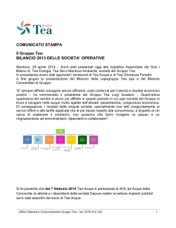 COMUNICATO STAMPA_Dati 2013 Gruppo Tea