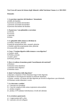 domande test