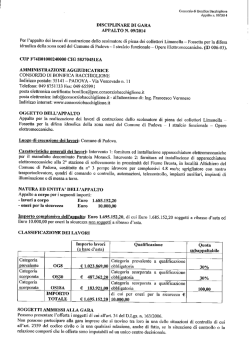 Disciplinare di gara - Consorzio di bonifica Bacchiglione
