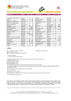 olivo (da mensa)_05_08_2013
