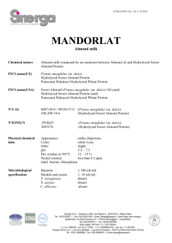 MANDORLAT - Sinerga