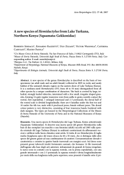 A new species of Hemidactylus from Lake Turkana