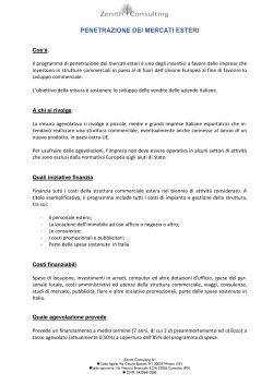 Scarica - Zenith Consulting