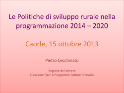 15.10.2013_Cecchinato_Regione Veneto_le politiche di sviluppo