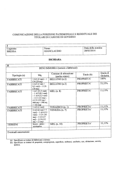dichiarazione patrimoniale