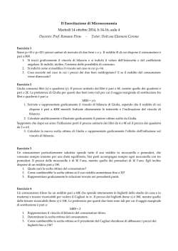 II Esercitazione di Microeconomia