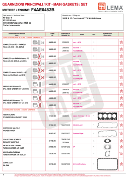 GUARNIZIONI PRINCIPALI / KIT - MAIN GASKETS / SET