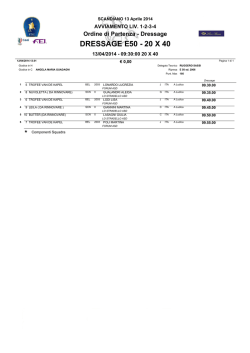 DRESSAGE E50 - 20 X 40