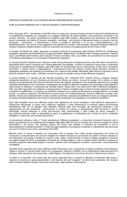 EFFICIENZA ENERGETICA: DA GOVERNO 800 MLN PER