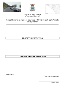 06 computo metrico estimativo ESECUTIVO Rena`