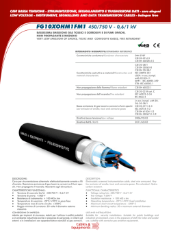 FG10XOHM1FM1 450/750 V