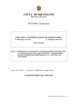 CITTA` DI SQUINZANO