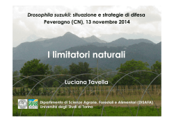 I limitatori naturali