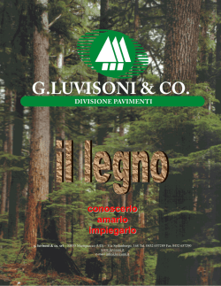 IL LEGNO - Luvisoni