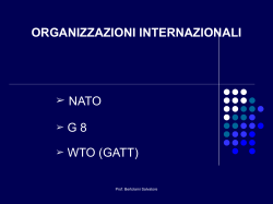Organizzazioni internazionali: NATO,G8,WTO