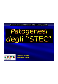 Intervento Giaccone