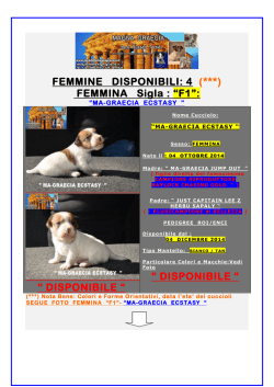 DISPONIBILE - magna graecia jack russell terrier